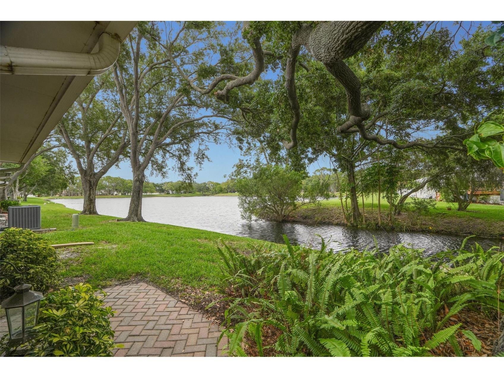 3050 Overlook Place Clearwater FL 33760 TB8519116 image6