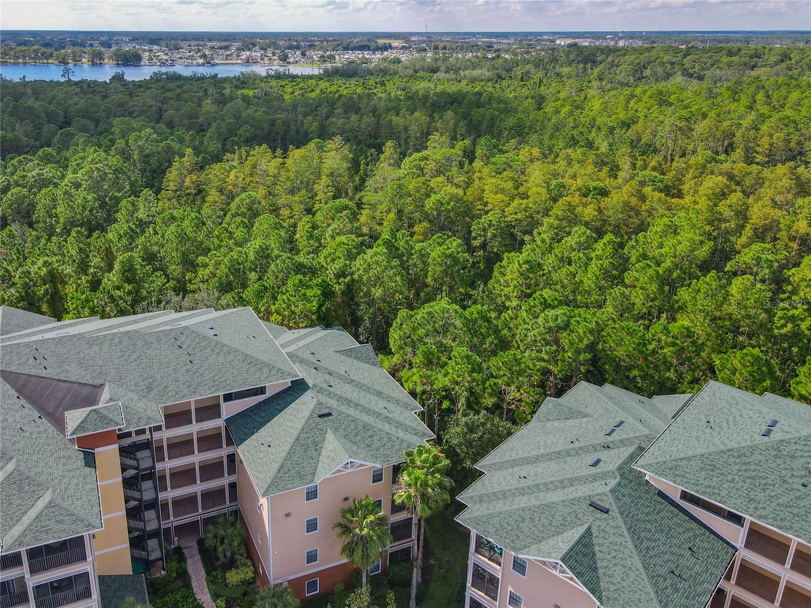 3050 Pirates Retreat Court #207 Kissimmee FL 34747 O6404768 image12