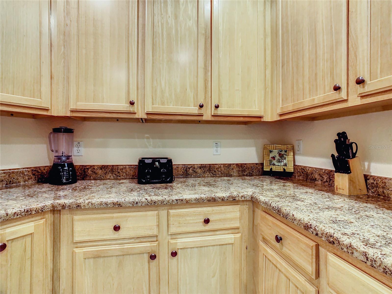 3050 Pirates Retreat Court #207 Kissimmee FL 34747 O6404768 image25