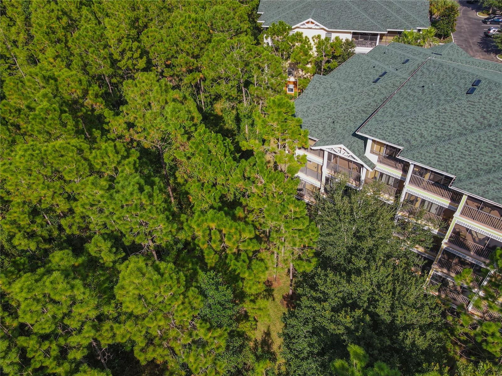3050 Pirates Retreat Court #207 Kissimmee FL 34747 O6404768 image53