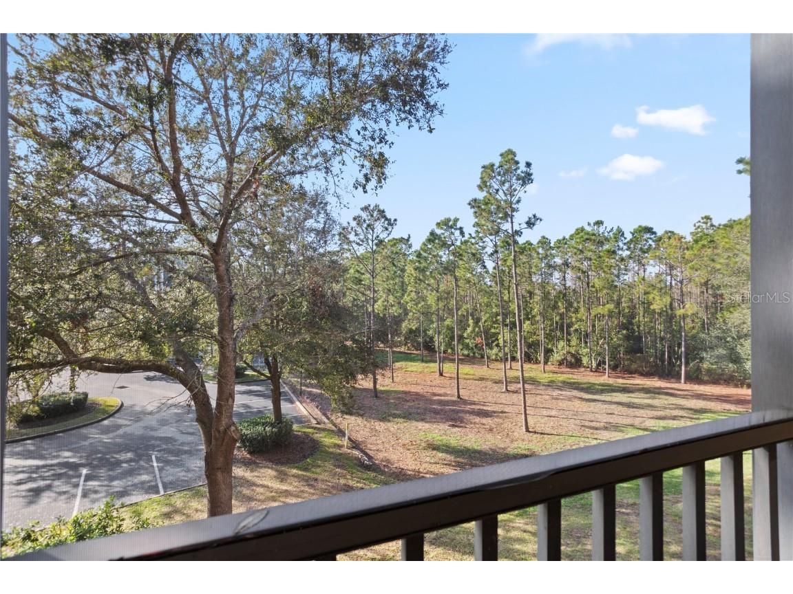 3050 Pirates Retreat Court #303 Kissimmee FL 34747 O6272109 image30