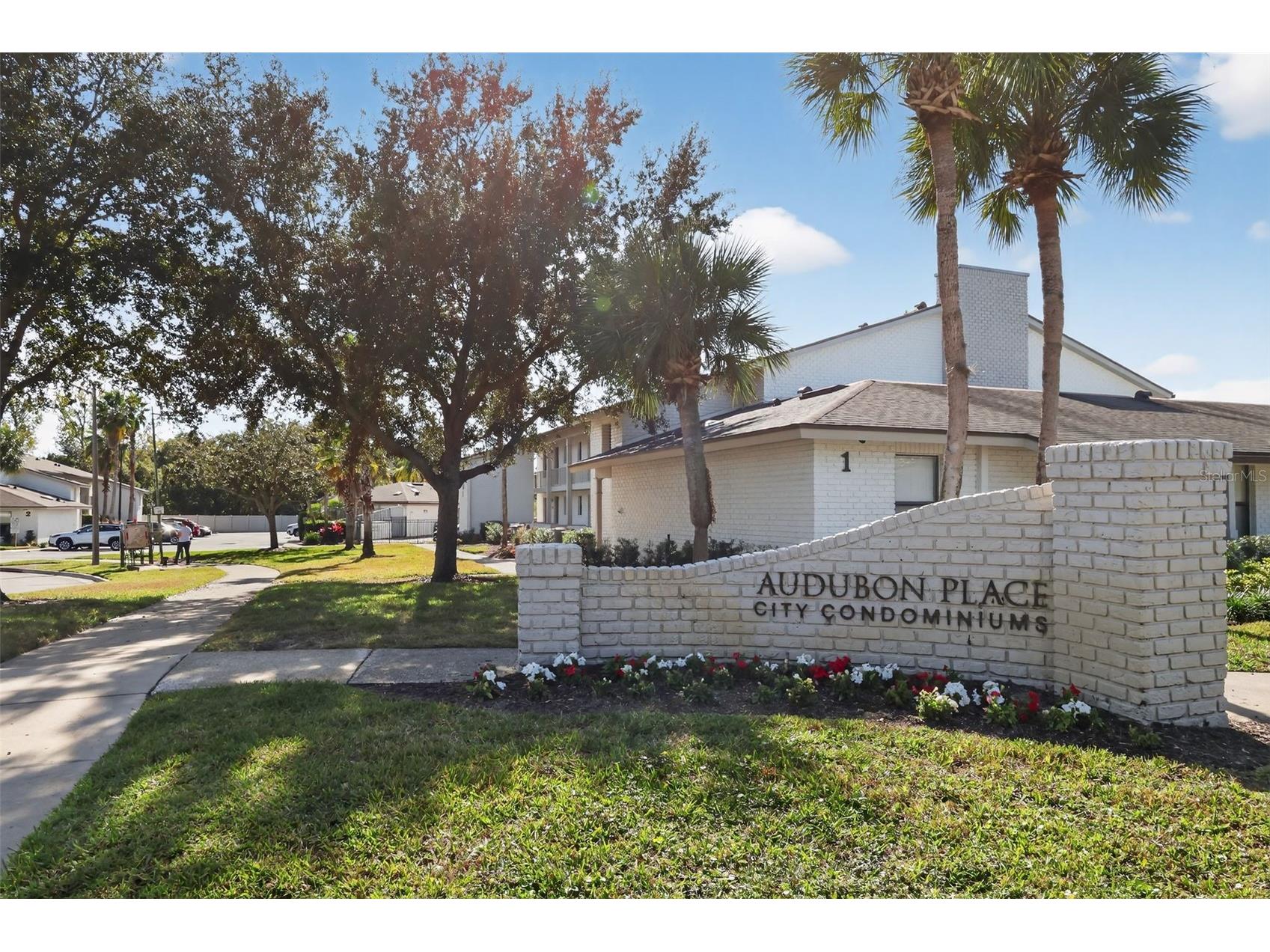 3050 Plaza Terrace Drive #3050 Orlando FL 32803 O6366900 image24