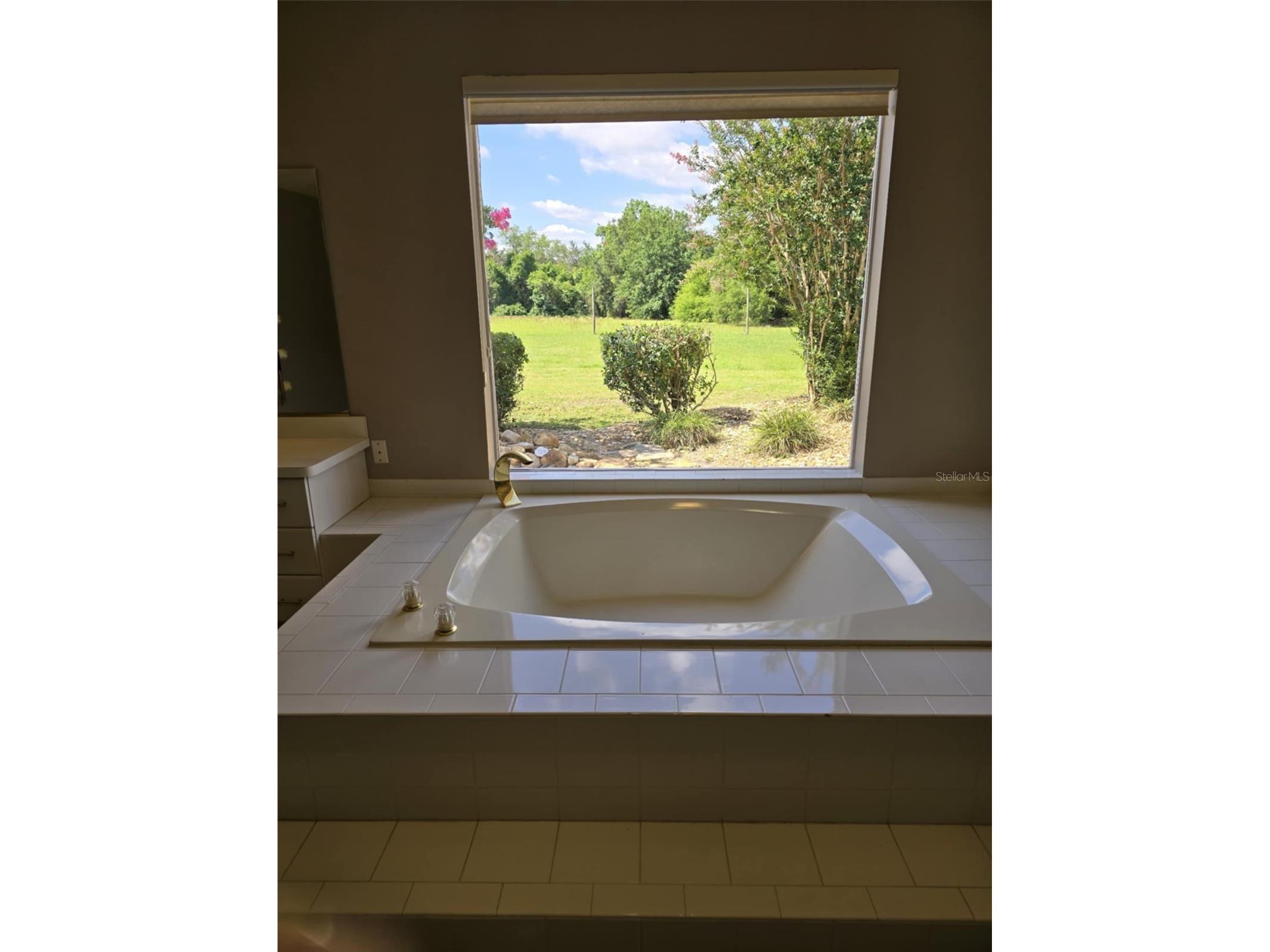 3050 SE 114th Street Ocala FL 34480 A4655444 image16