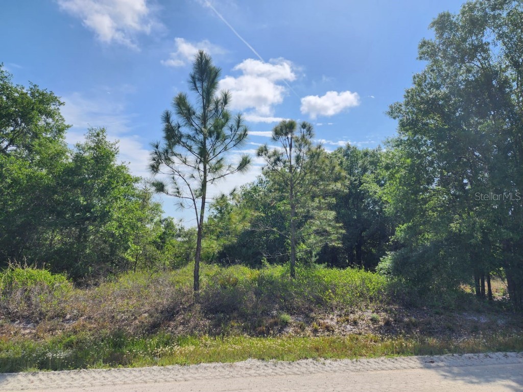 3050 W Joliet Road Avon Park FL 33825 P4929802 image1