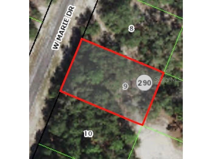 3050 W Marie Drive Citrus Springs FL 34433 A4578298 image1