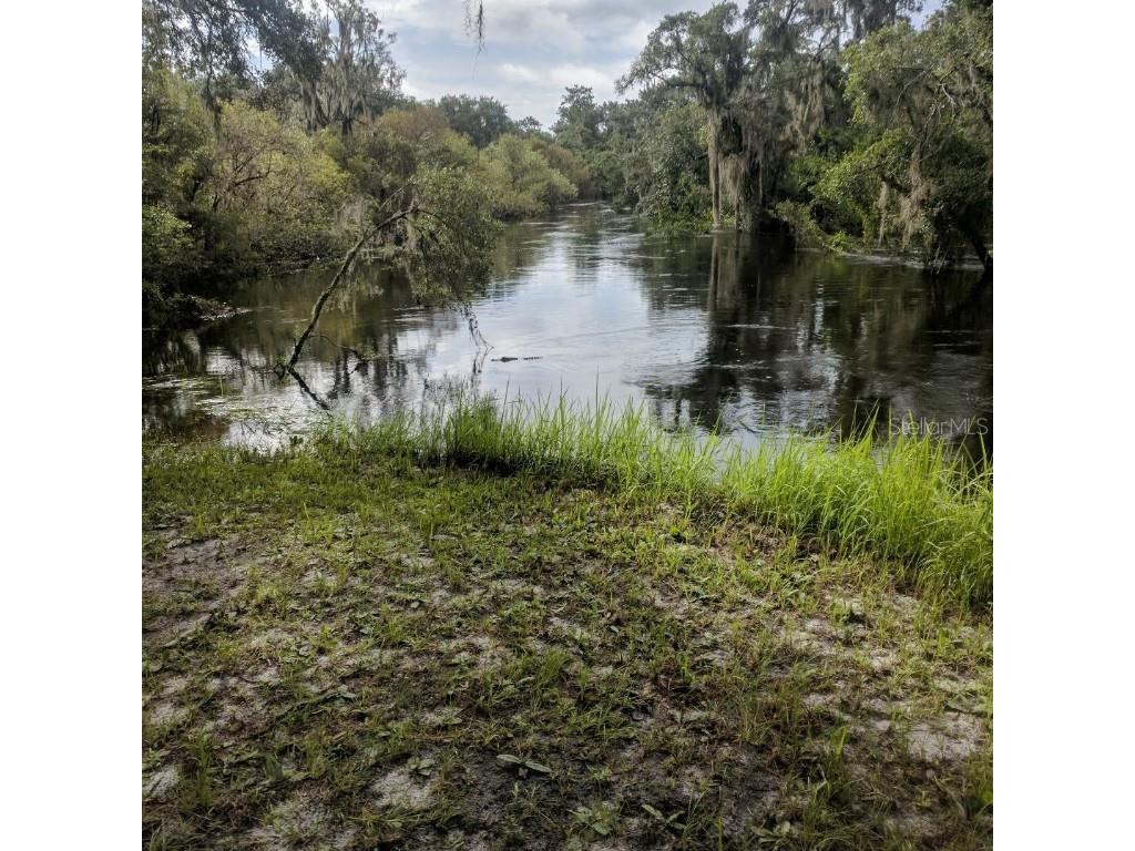 30500 34th Avenue E Myakka City FL 34251 - MANATEE RIVER A4664674 image18