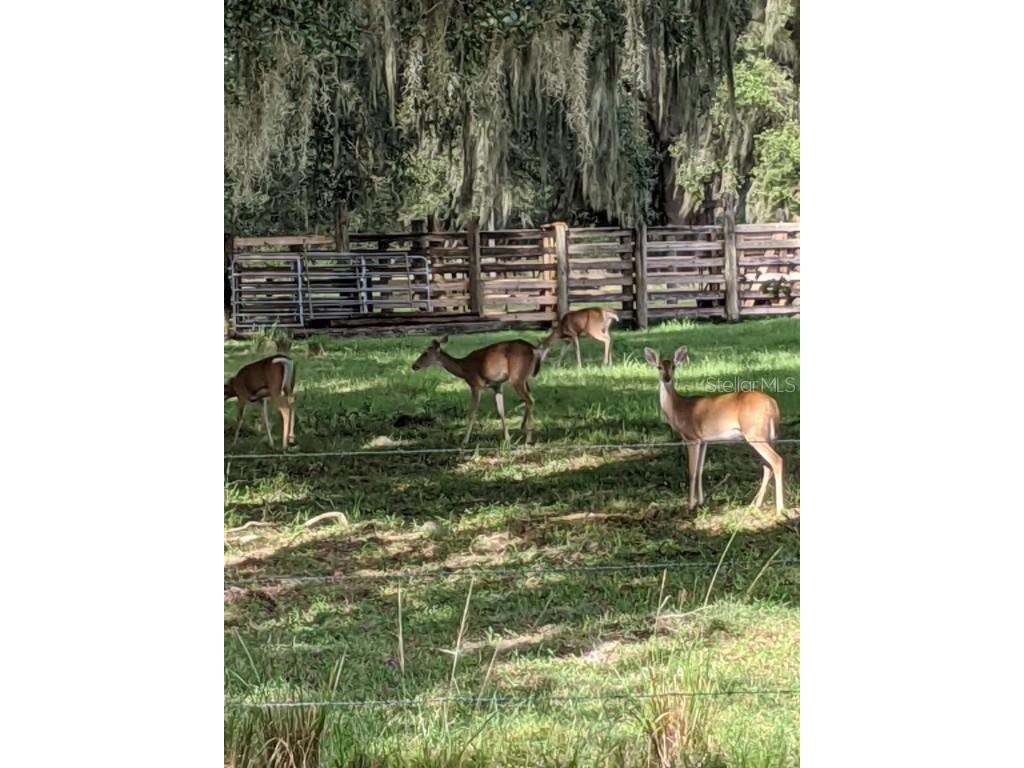 30500 34th Avenue E Myakka City FL 34251 - MANATEE RIVER A4664674 image21