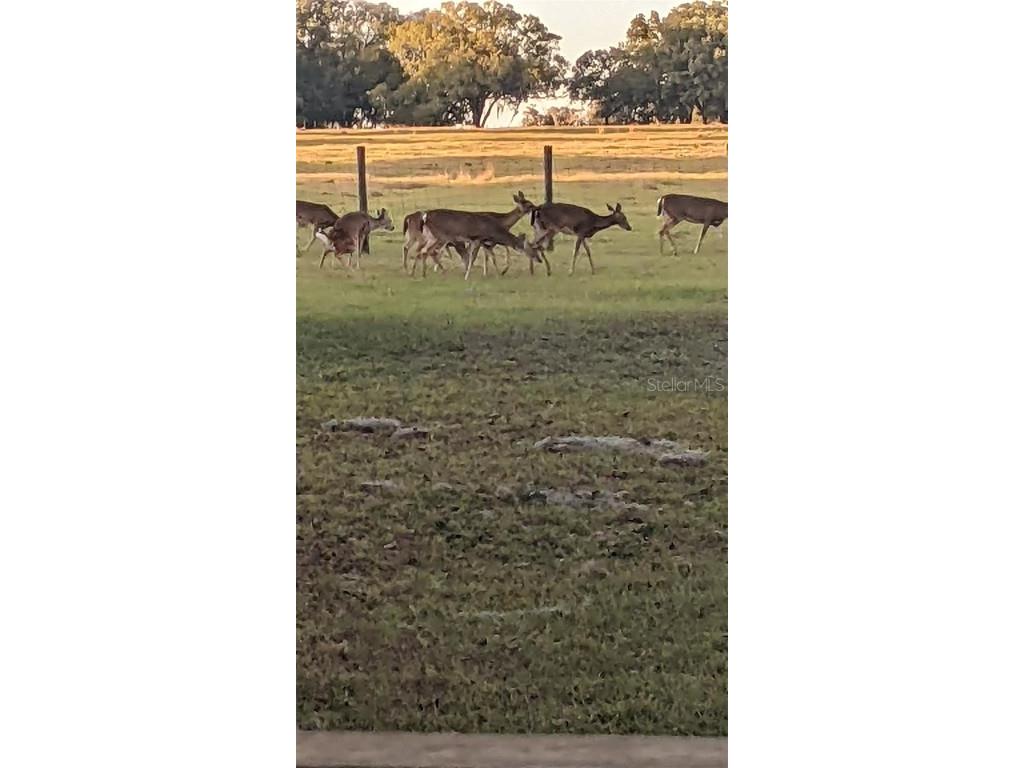 30500 34th Avenue E Myakka City FL 34251 - MANATEE RIVER A4664674 image23