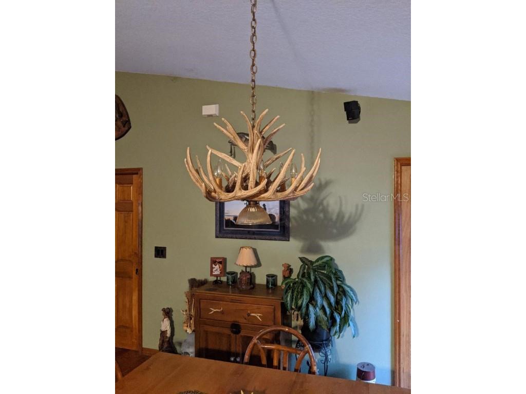 30500 34th Avenue E Myakka City FL 34251 - MANATEE RIVER A4664674 image24