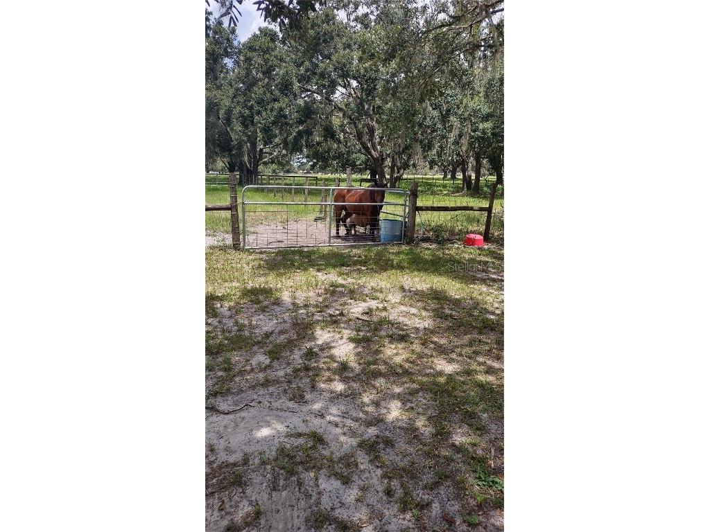 30500 34th Avenue E Myakka City FL 34251 - MANATEE RIVER A4664674 image27