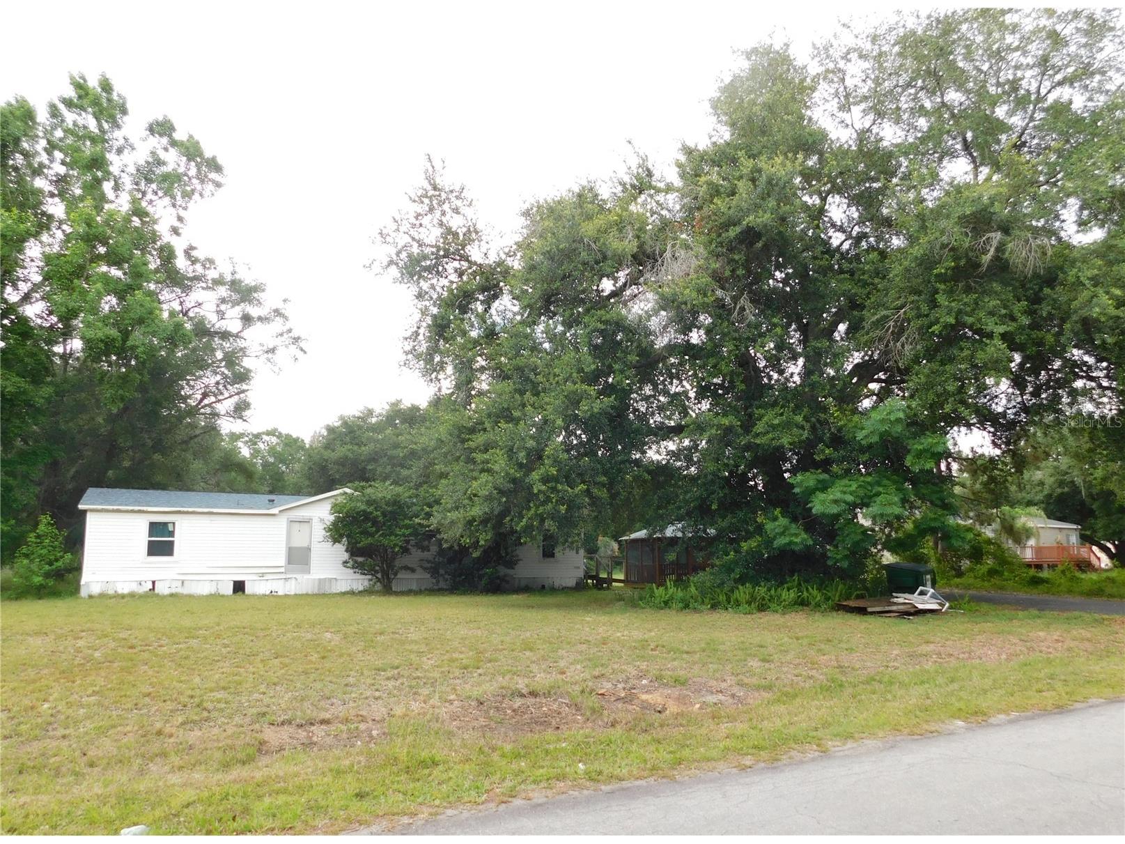 30501 Clearview Drive Wesley Chapel FL 33545 TB8515521 image1