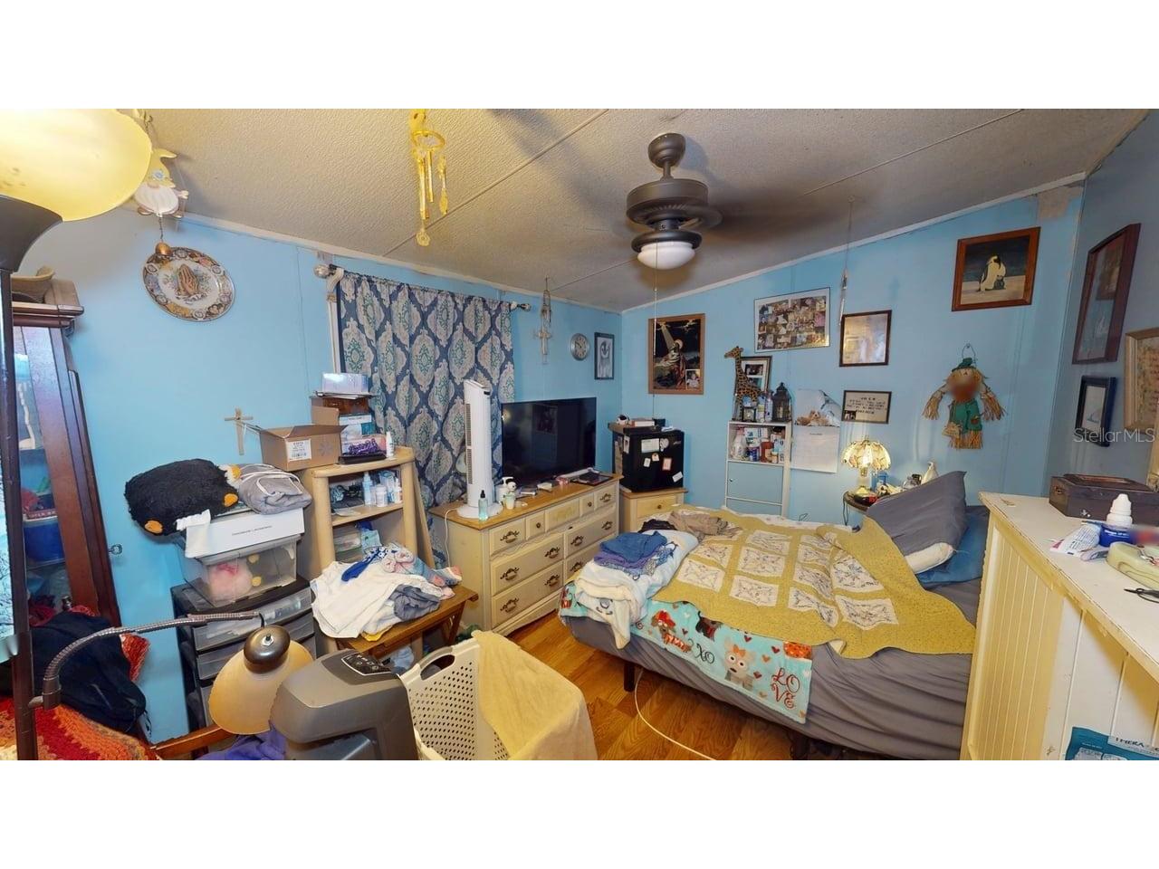 30501 Clearview Drive Wesley Chapel FL 33545 TB8515521 image12