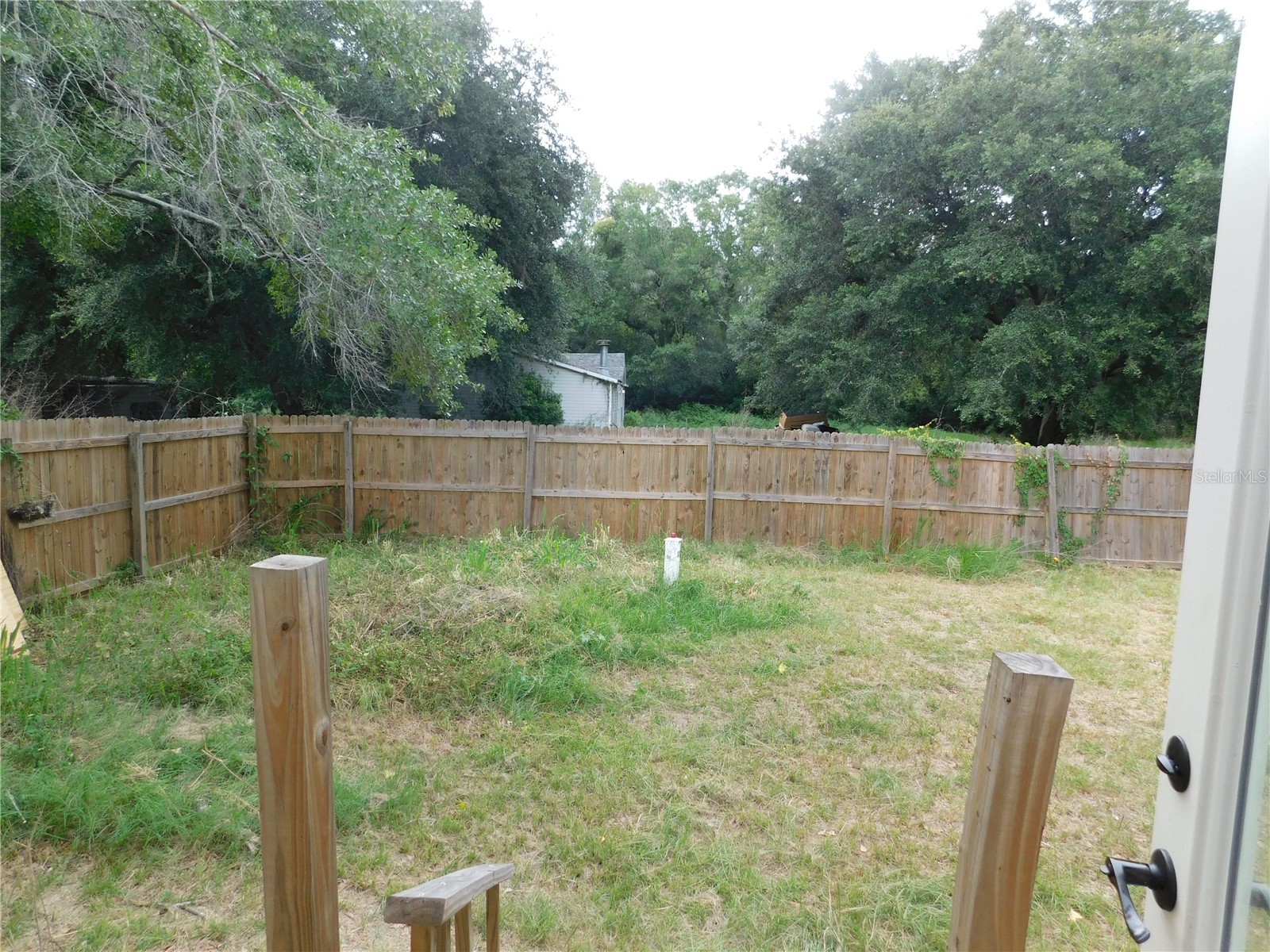 30501 Clearview Drive Wesley Chapel FL 33545 TB8515521 image17