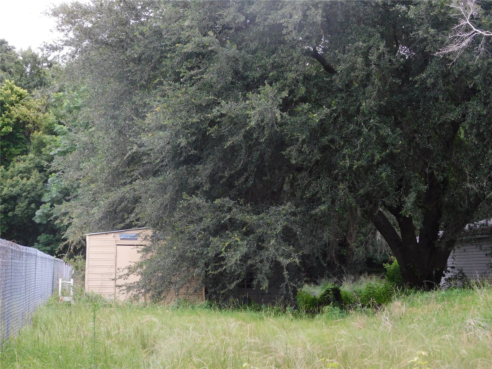 30501 Clearview Drive Wesley Chapel FL 33545 TB8515521 image22