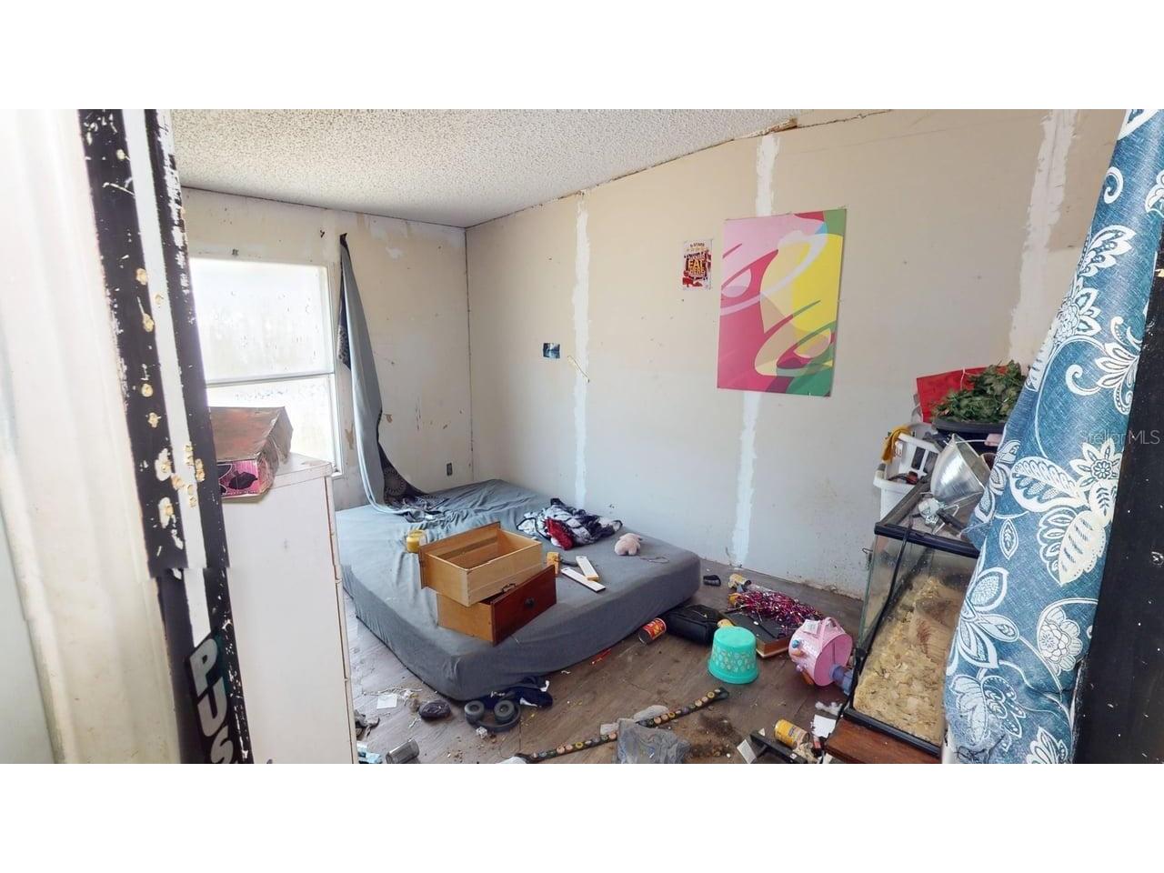 30501 Clearview Drive Wesley Chapel FL 33545 TB8515521 image26