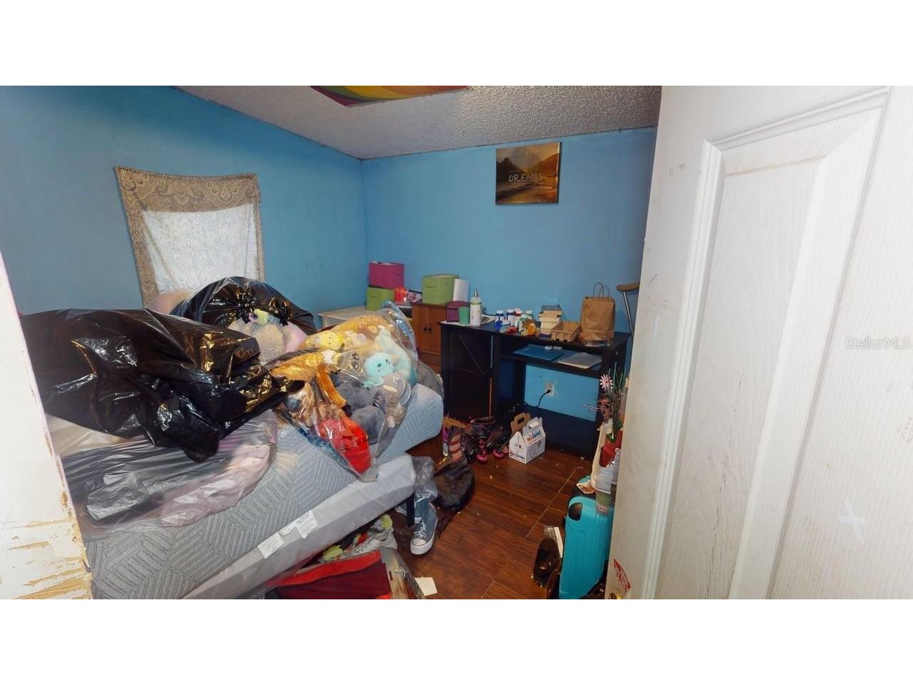 30501 Clearview Drive Wesley Chapel FL 33545 TB8515521 image27