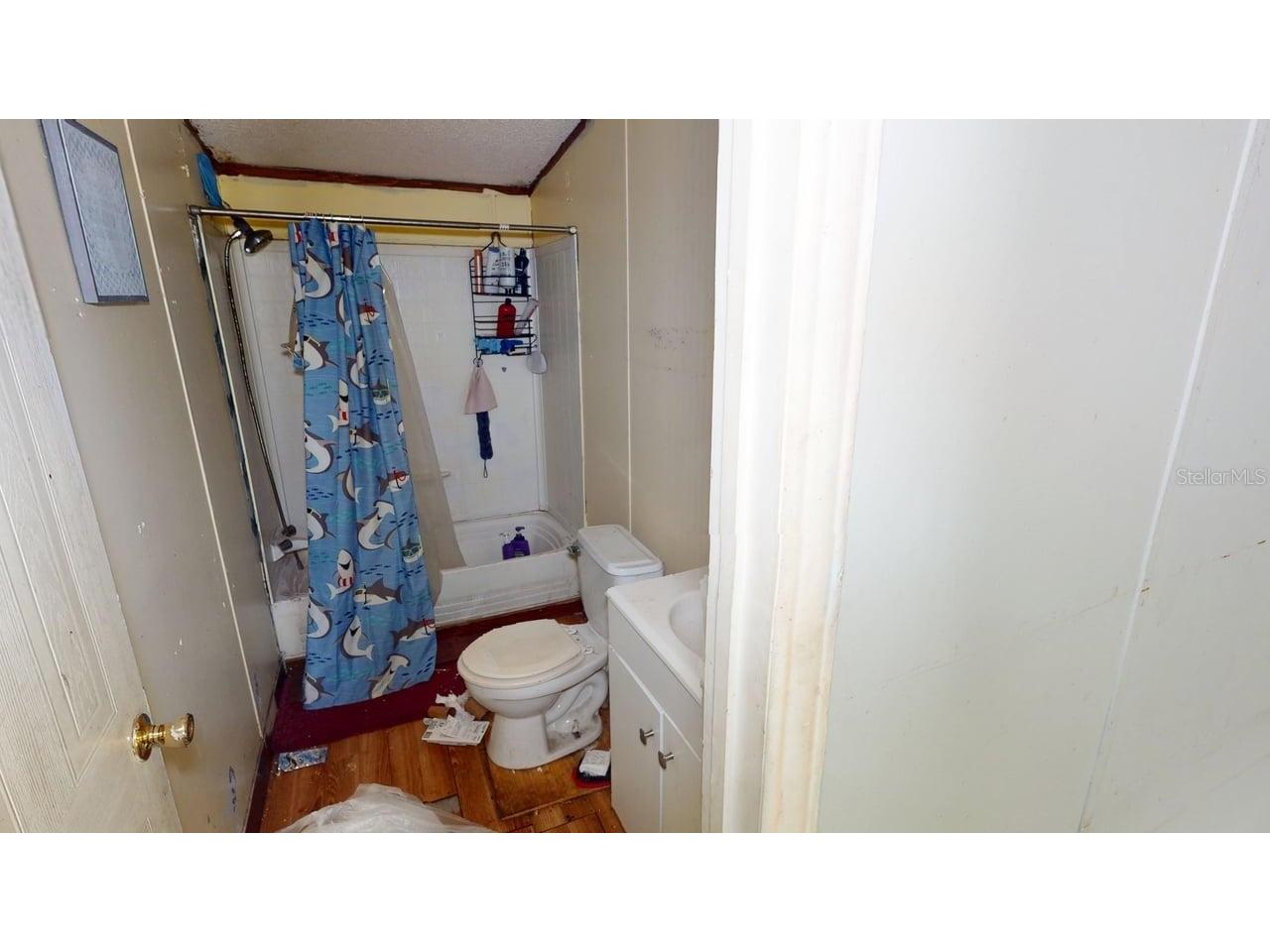 30501 Clearview Drive Wesley Chapel FL 33545 TB8515521 image28
