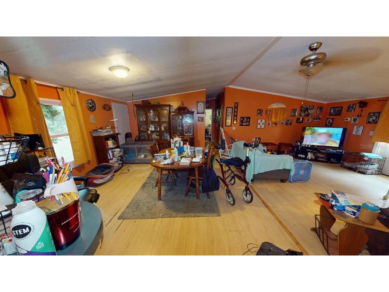 30501 Clearview Drive Wesley Chapel FL 33545 TB8515521 image3