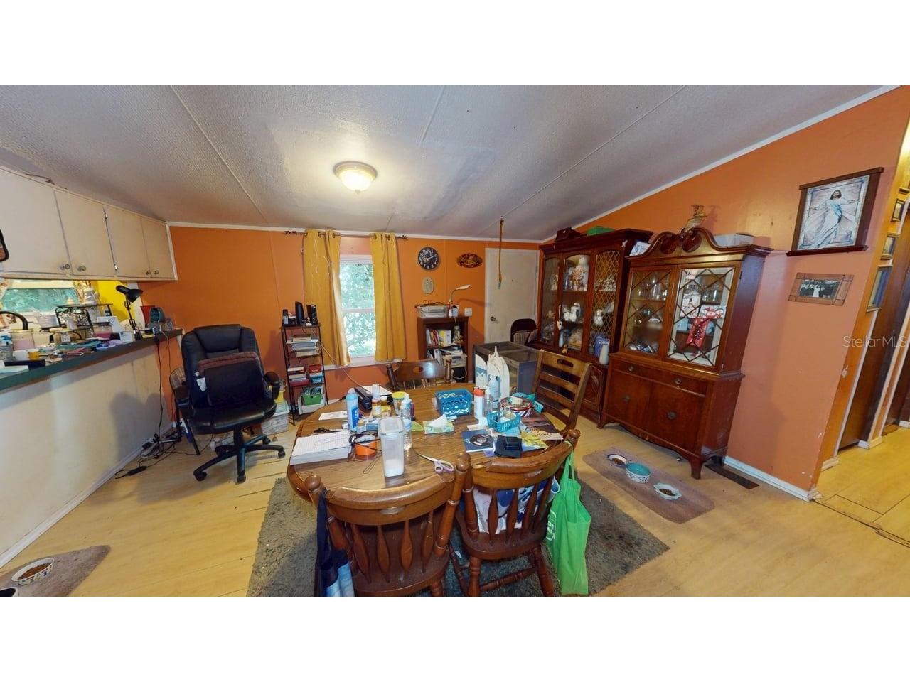 30501 Clearview Drive Wesley Chapel FL 33545 TB8515521 image4
