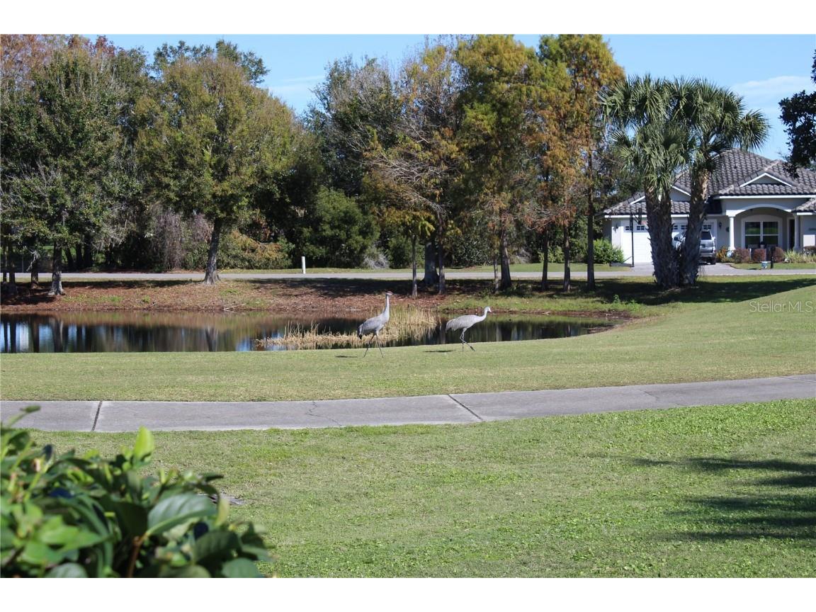 30501 Island Club Drive Tavares FL 32778 TB8442549 image39