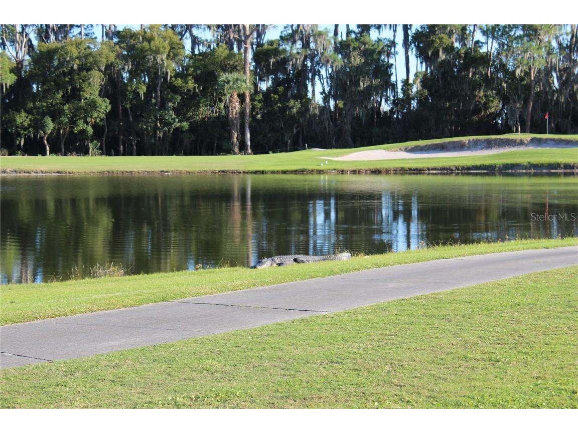 30501 Island Club Drive Tavares FL 32778 TB8442549 image41