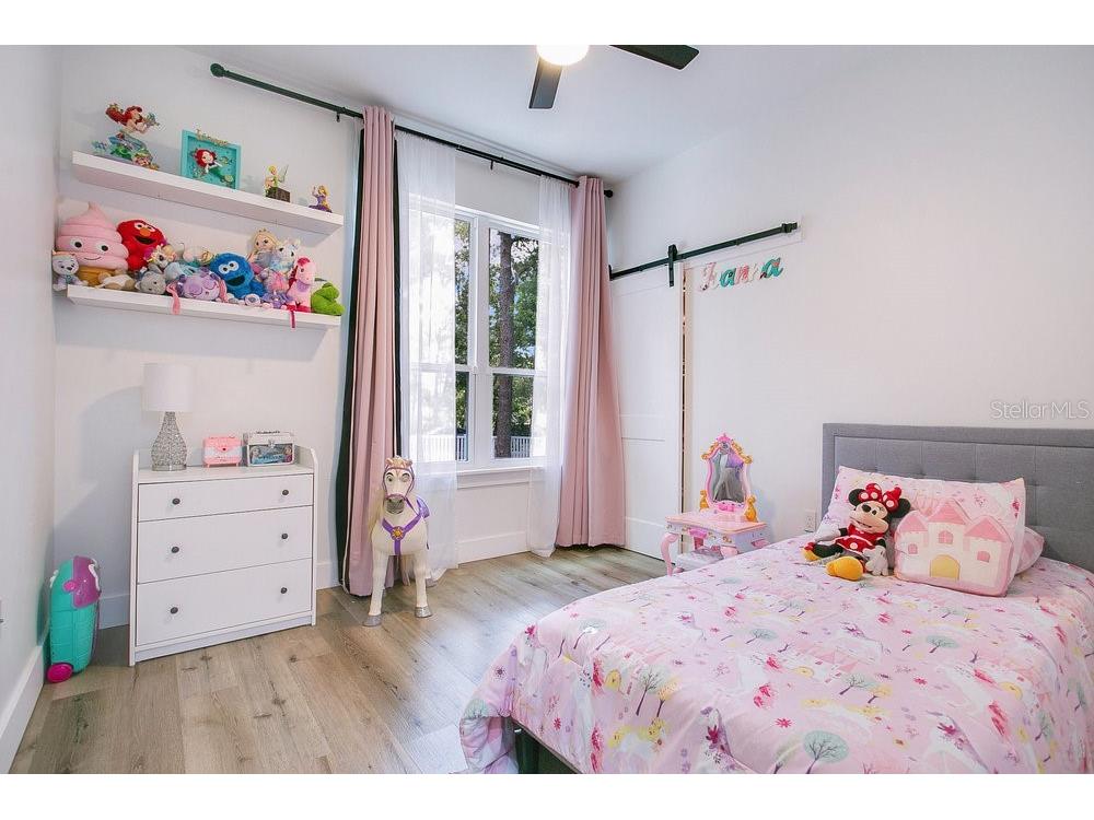 30502 Seaforth Drive Sorrento FL 32776 O6333633 image14