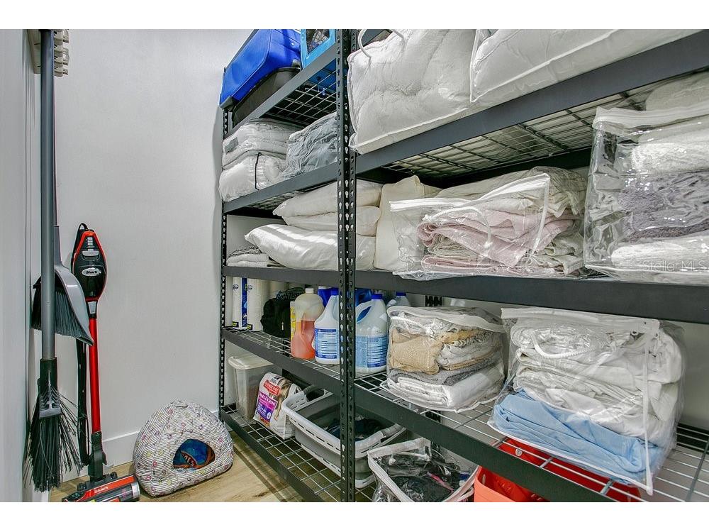 30502 Seaforth Drive Sorrento FL 32776 O6333633 image18