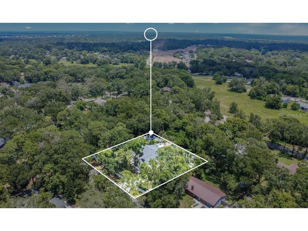 30502 Seaforth Drive Sorrento FL 32776 O6333633 image26