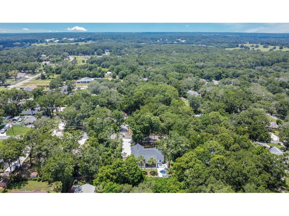 30502 Seaforth Drive Sorrento FL 32776 O6333633 image27