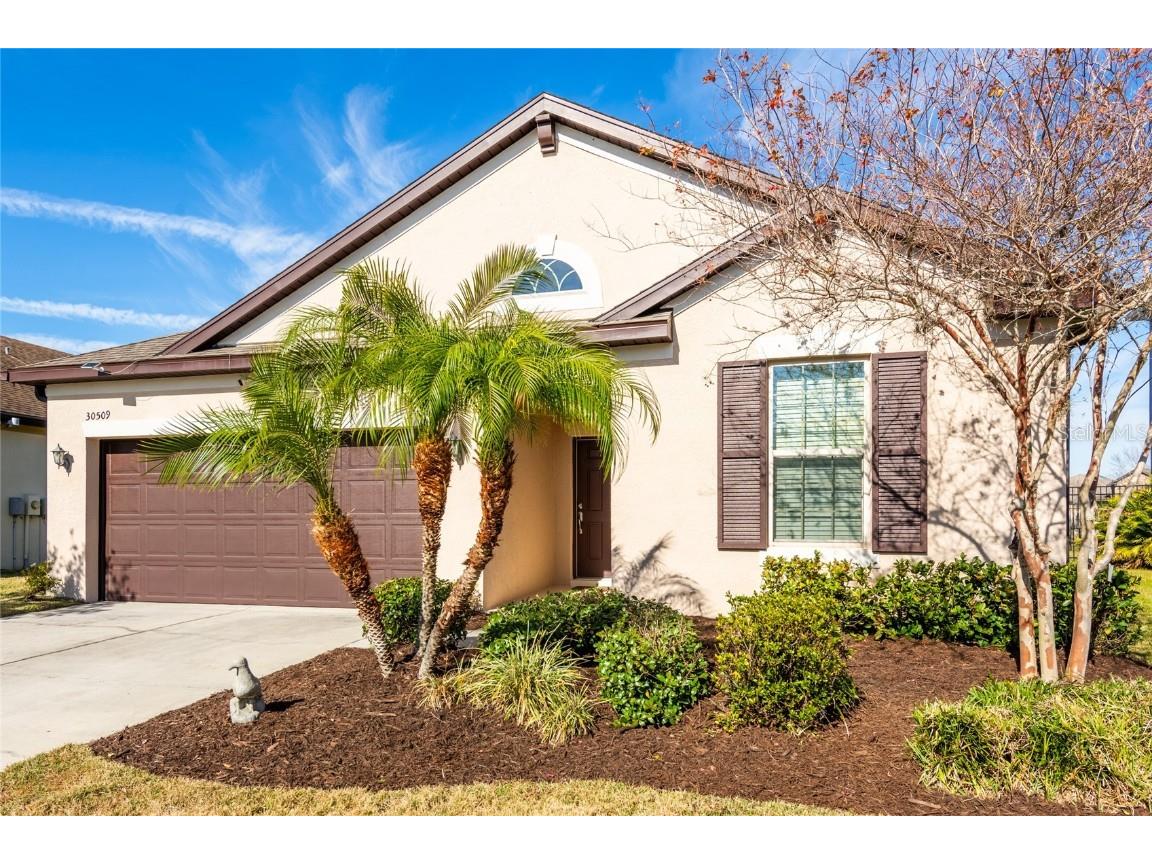 30509 Pecan Valley Loop Wesley Chapel FL 33543 TB8343657 image1