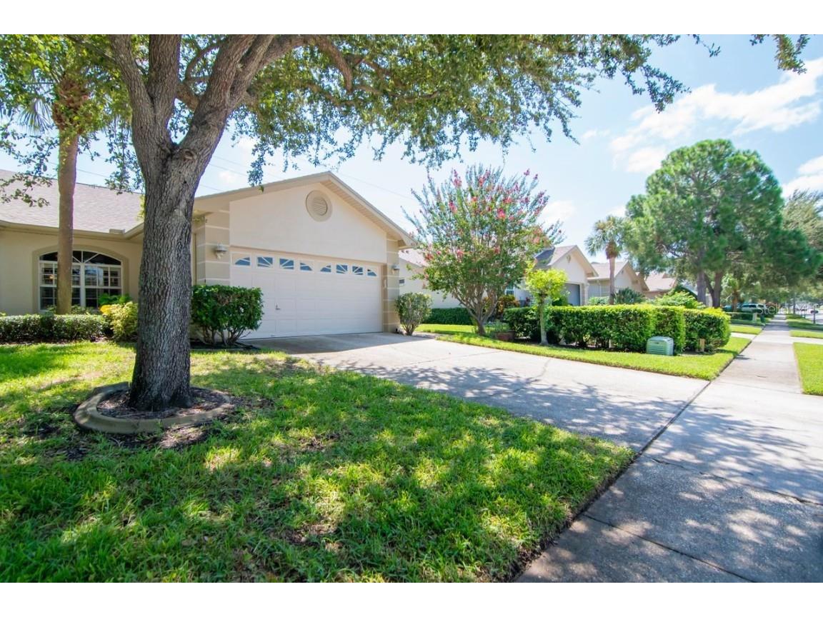 3051 Brookfield Lane Clearwater FL 33761 U8211782 image1