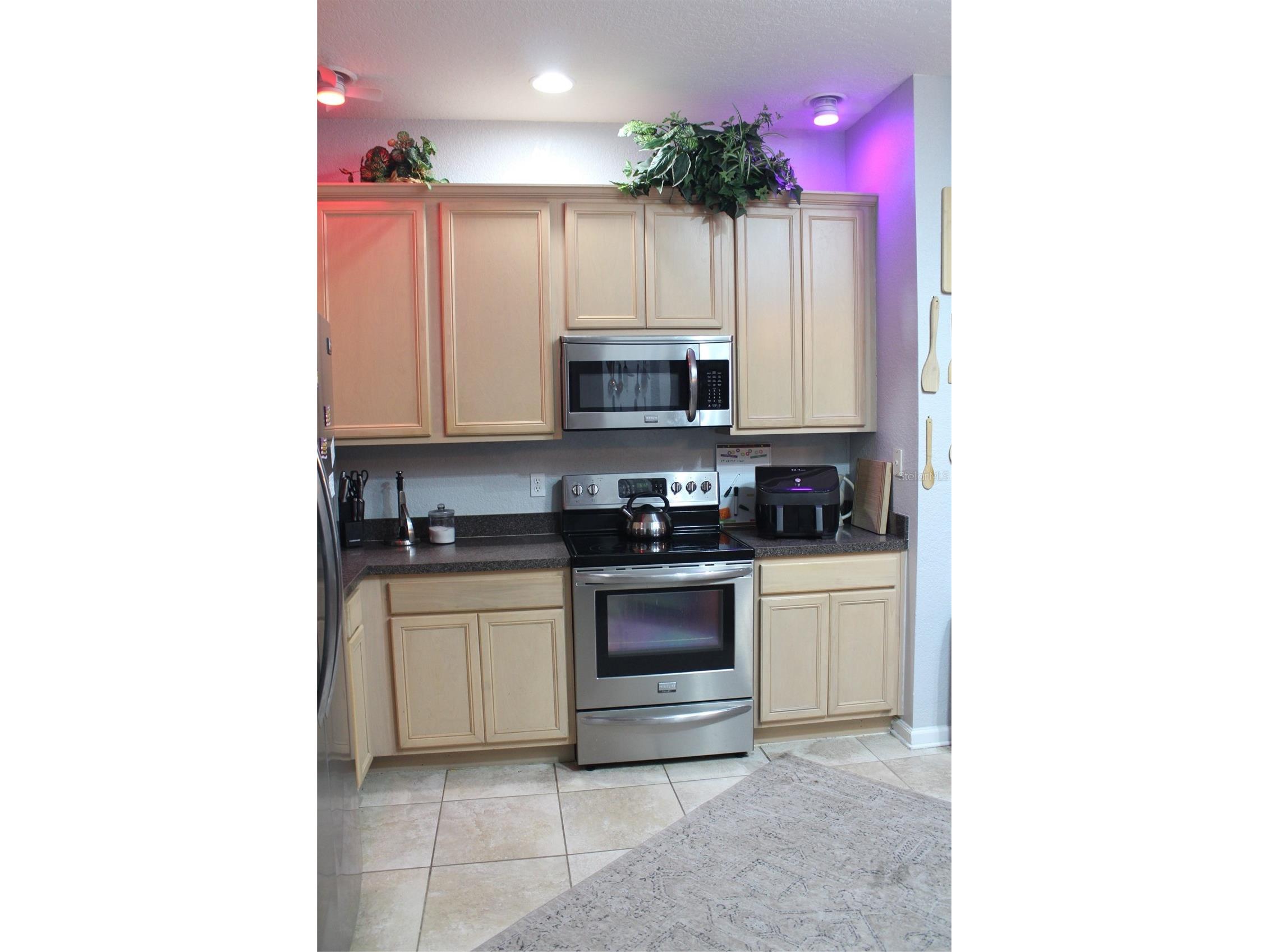 3051 Greystone Loop #106 Kissimmee FL 34741 O6372010 image6