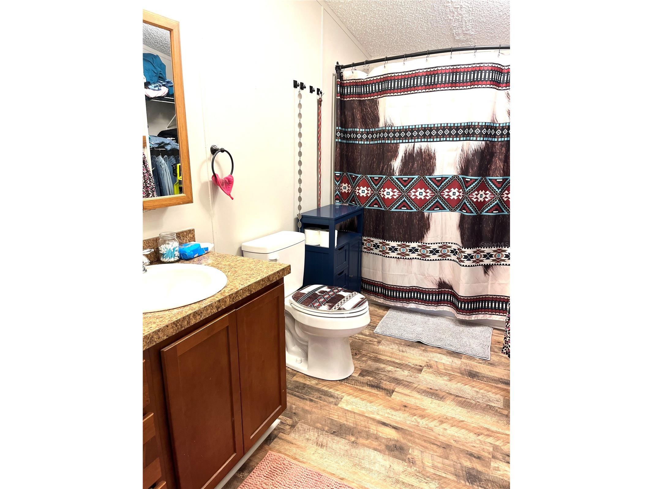 3051 Honeoye Trail Lakeland FL 33810 L4955390 image29