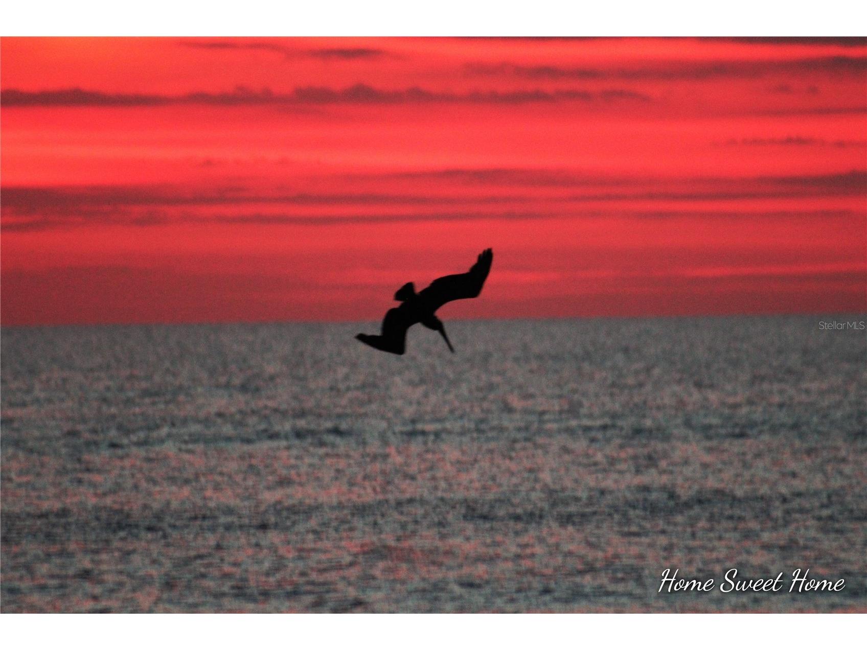 3051 S. Atlantic Avenue #1805 Daytona Beach Shores FL 32118 - ATLANTIC OCEAN NS1087881 image38