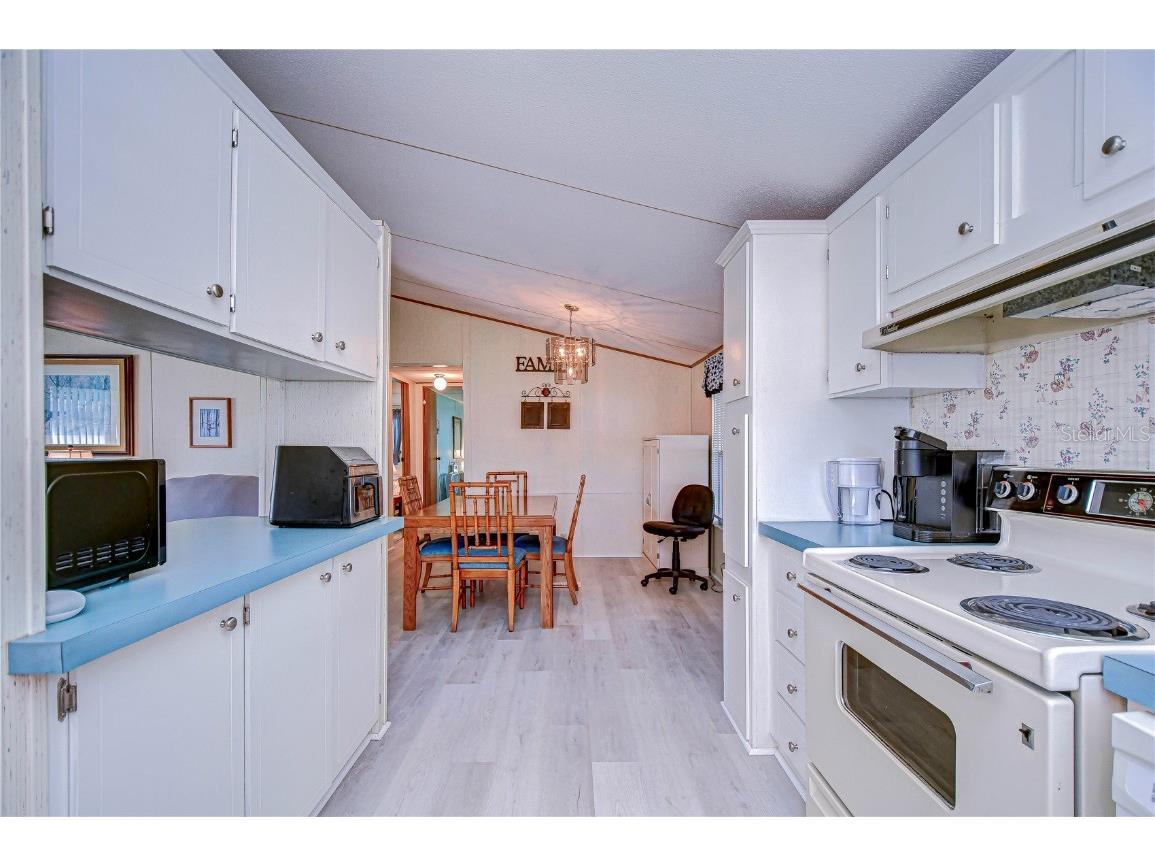 3051 Shady Creek Drive Wesley Chapel FL 33543 TB8363550 image18