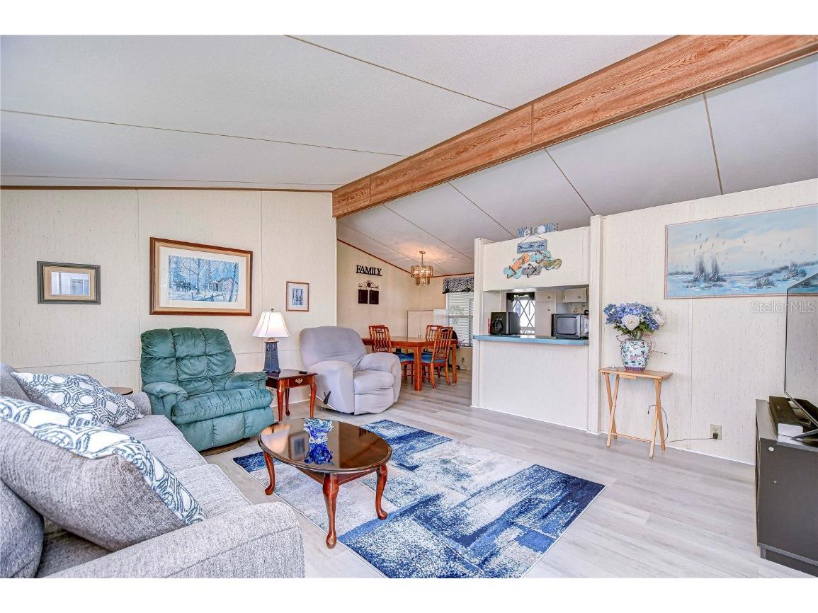 3051 Shady Creek Drive Wesley Chapel FL 33543 TB8363550 image20