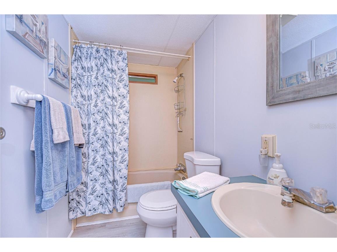 3051 Shady Creek Drive Wesley Chapel FL 33543 TB8363550 image22