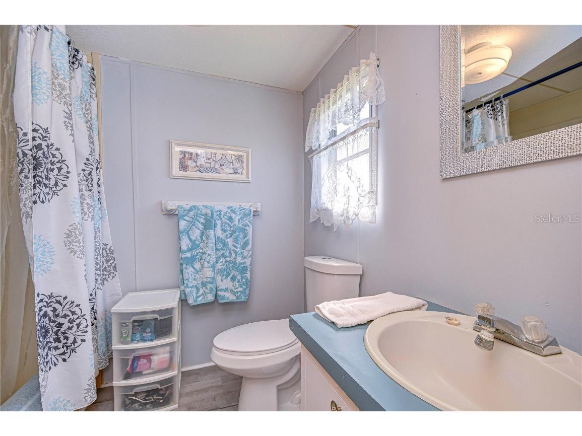 3051 Shady Creek Drive Wesley Chapel FL 33543 TB8363550 image27