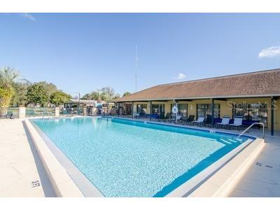 3051 Shady Creek Drive Wesley Chapel FL 33543 TB8363550 image33