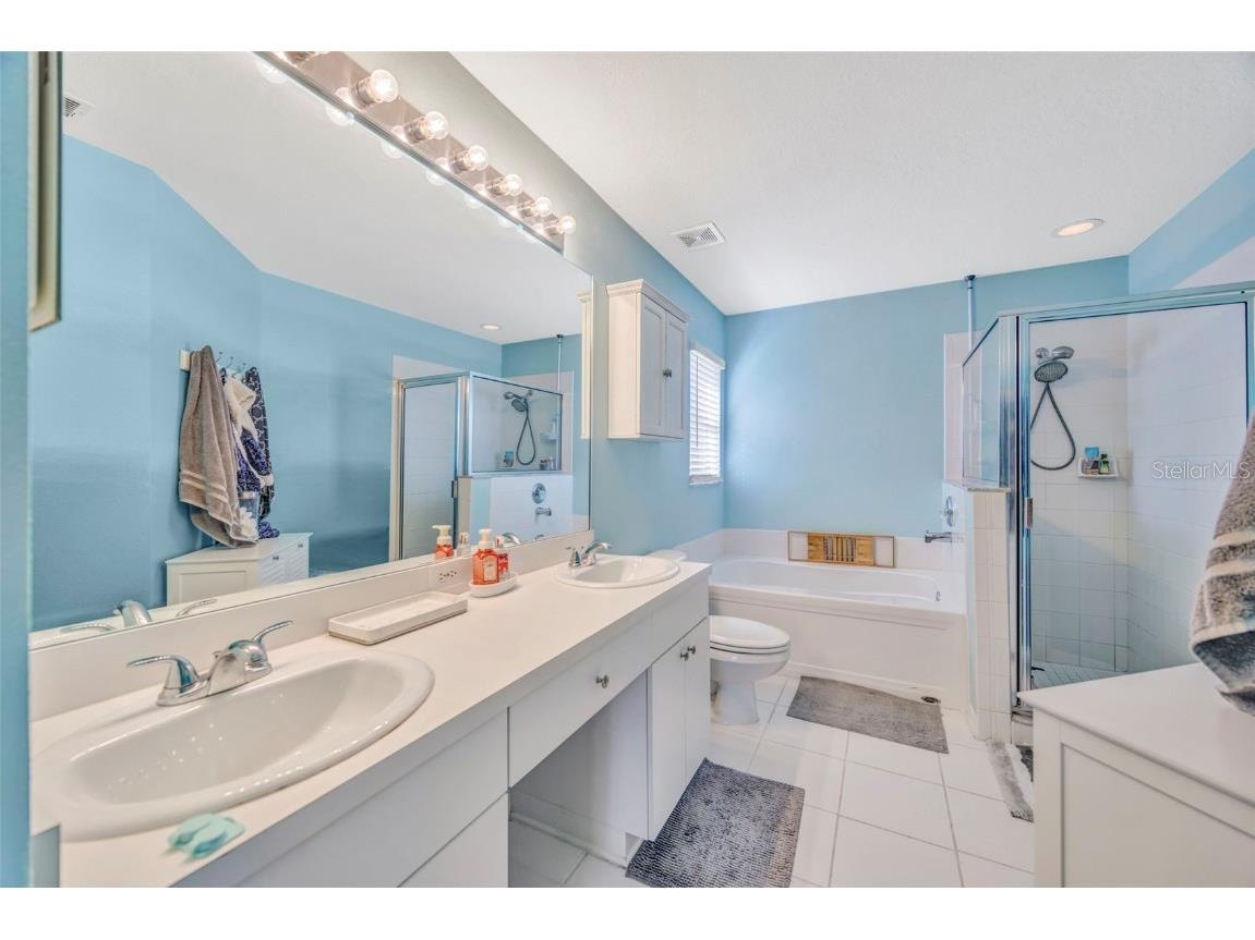 30512 Wrencrest Drive Wesley Chapel FL 33543 TB8448035 image18