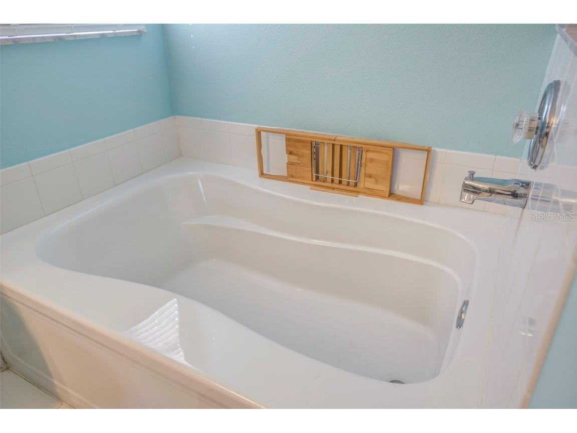 30512 Wrencrest Drive Wesley Chapel FL 33543 TB8448035 image20