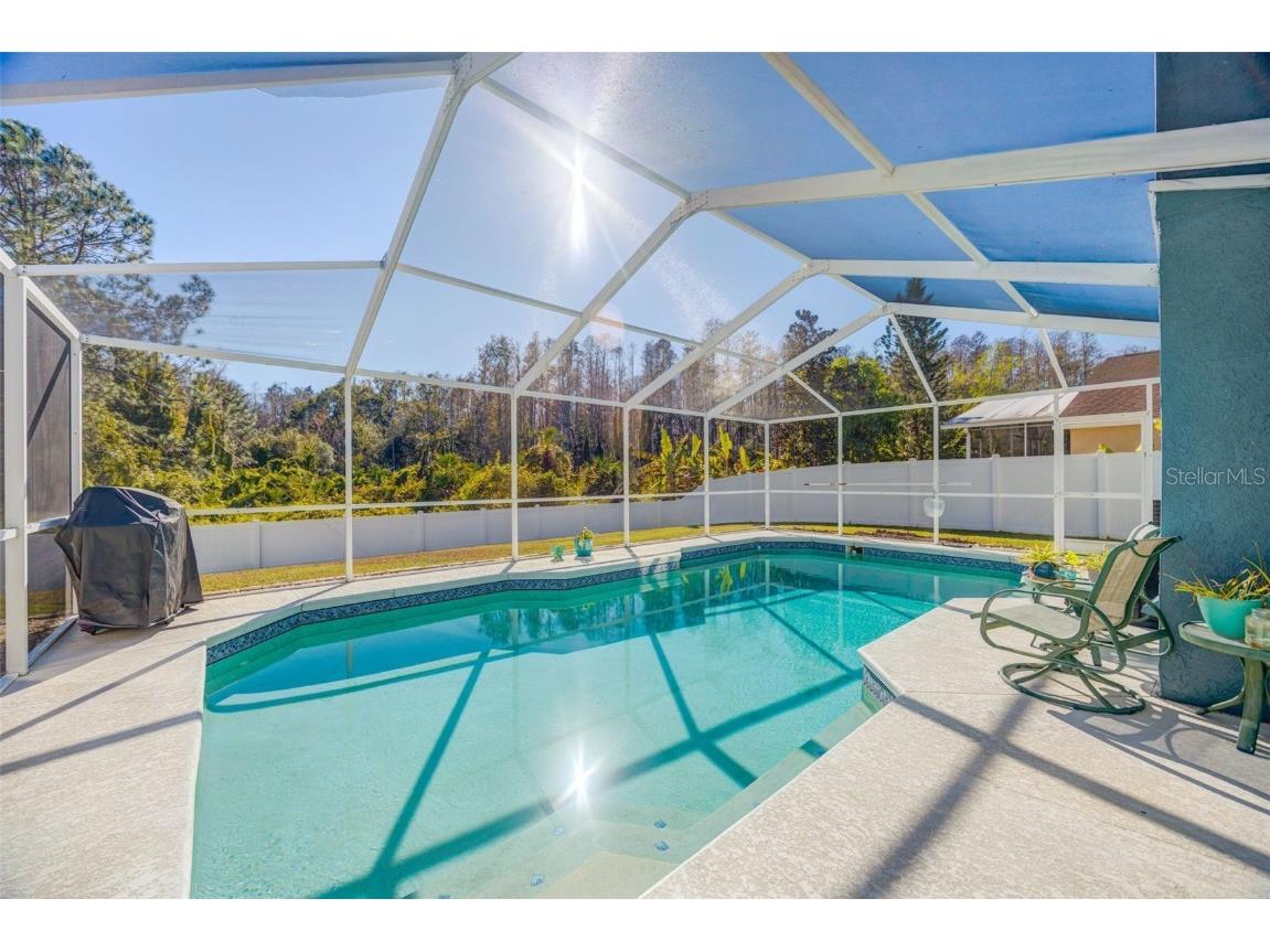 30512 Wrencrest Drive Wesley Chapel FL 33543 TB8448035 image40