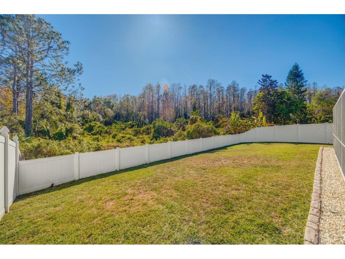 30512 Wrencrest Drive Wesley Chapel FL 33543 TB8448035 image41