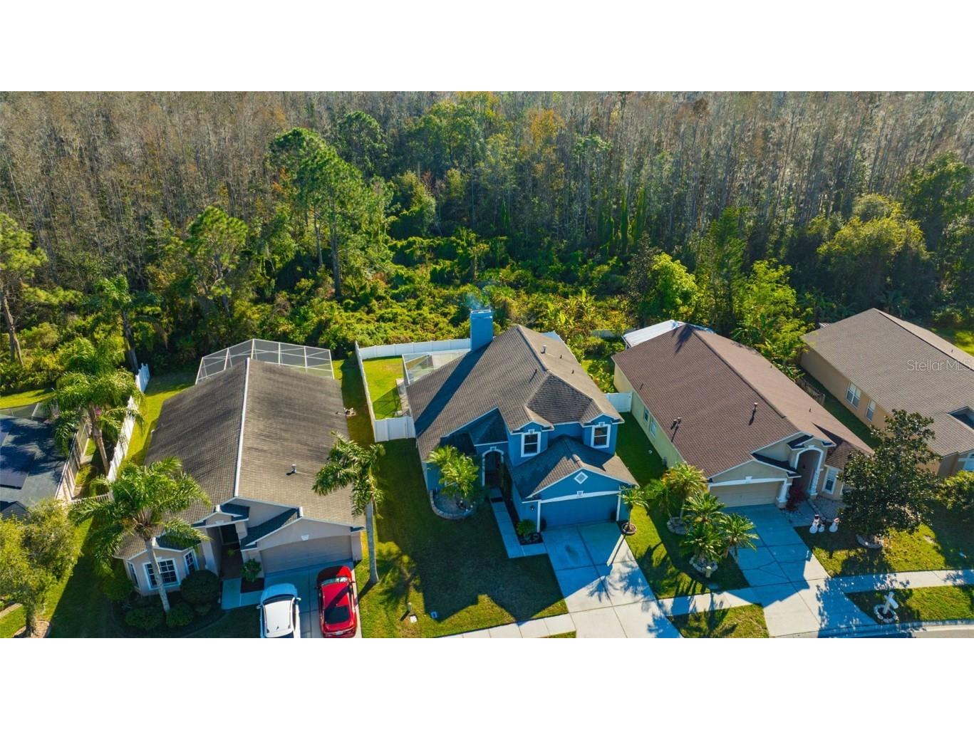 30512 Wrencrest Drive Wesley Chapel FL 33543 TB8448035 image47