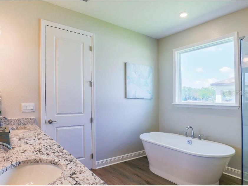30513 Prestwick Avenue Sorrento FL 32776 O6404958 image17