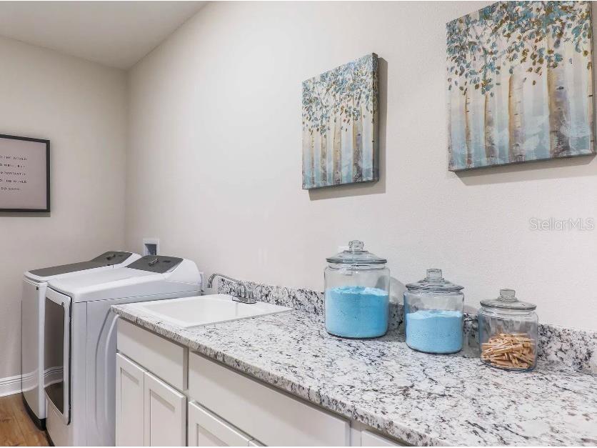 30513 Prestwick Avenue Sorrento FL 32776 O6404958 image21