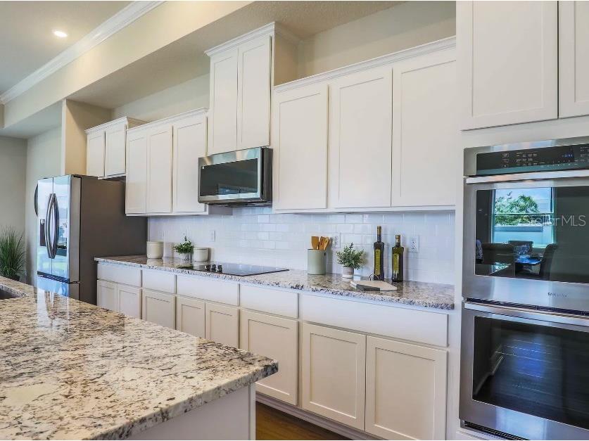 30513 Prestwick Avenue Sorrento FL 32776 O6404958 image8