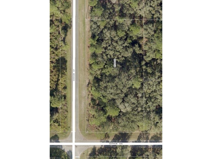30515 Saffron Avenue Eustis FL 32736 - LAKE NORRIS G5080017 image1
