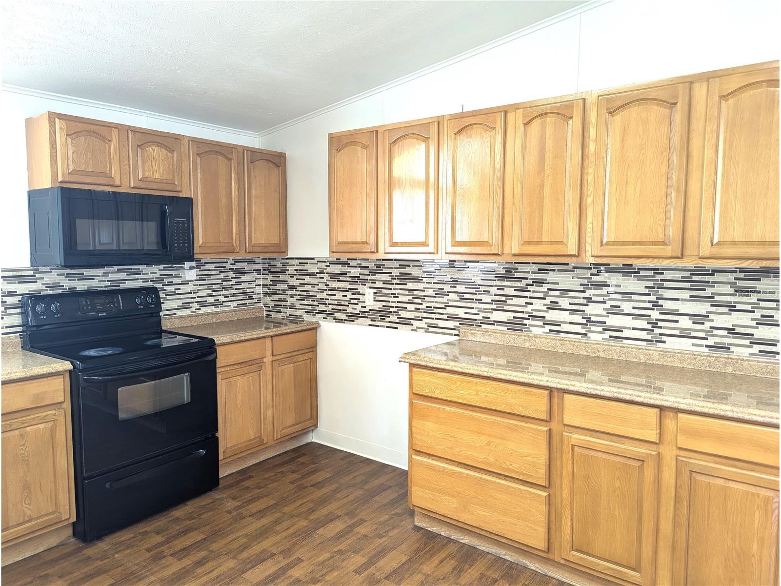 30517 Clearview Drive Wesley Chapel FL 33545 TB8528898 image24