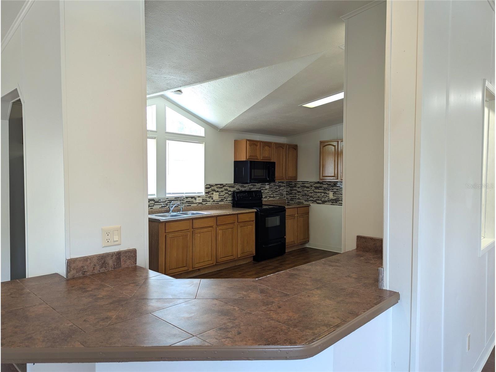 30517 Clearview Drive Wesley Chapel FL 33545 TB8528898 image26
